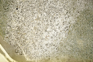 Plane Polarized, S89823