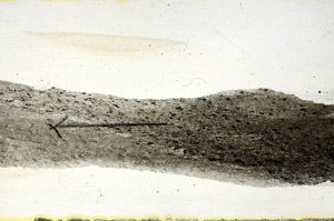 Plane Polarized, S89824