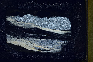 Cross Polarized, S89825