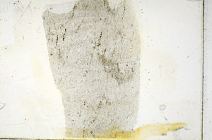 Plane Polarized, S89826