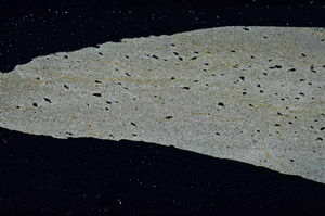 Cross Polarized, S89828