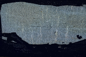 Cross Polarized, S89829
