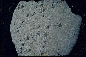 Cross Polarized, S89830