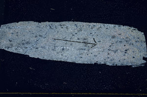 Cross Polarized, S89831