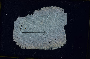 Cross Polarized, S89832
