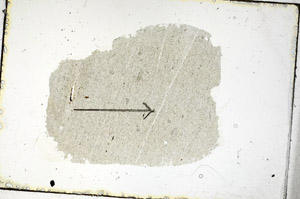 Plane Polarized, S89832