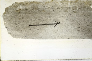 Plane Polarized, S89833