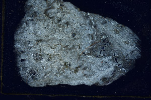 Cross Polarized, S89834