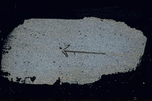 Cross Polarized, S89836