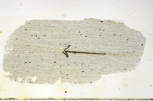 Plane Polarized, S89836