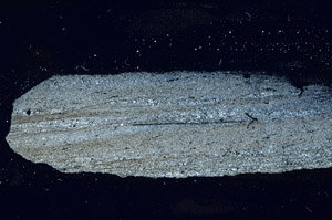 Cross Polarized, S89837