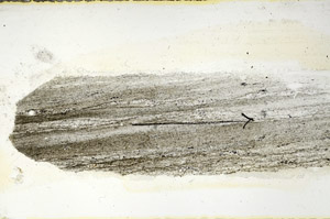 Plane Polarized, S89837