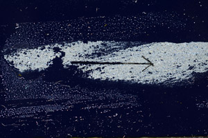 Cross Polarized, S89839