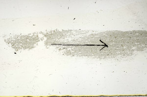 Plane Polarized, S89839