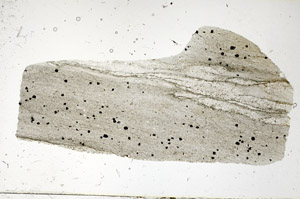 Plane Polarized, S89840
