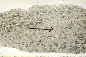 Plane Polarized, S89841