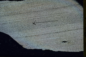 Cross Polarized, S89842