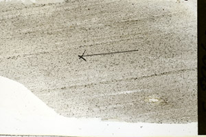 Plane Polarized, S89842