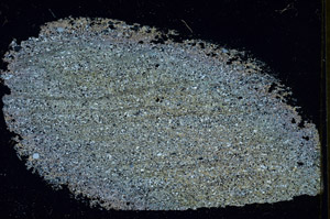Cross Polarized, S89843