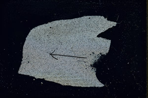 Cross Polarized, S89844