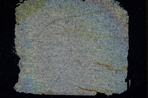 Cross Polarized, S89845