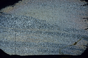 Cross Polarized, S89847