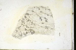 Plane Polarized, S89848