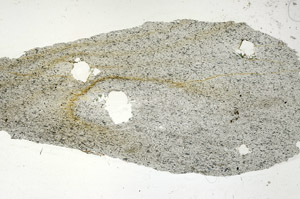Plane Polarized, S89849