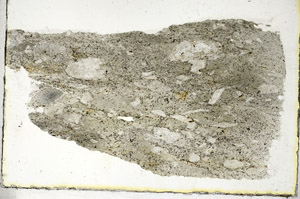 Plane Polarized, S89850