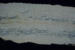 Cross Polarized, S89851