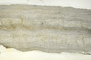 Plane Polarized, S89851