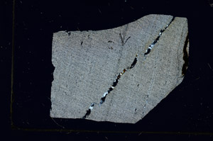 Cross Polarized, S89852