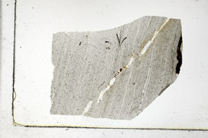 Plane Polarized, S89852