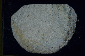 Cross Polarized, S89853