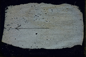 Cross Polarized, S89854