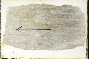 Plane Polarized, S89854