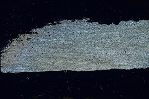 Cross Polarized, S89855