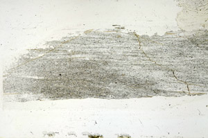 Plane Polarized, S89855