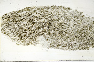 Plane Polarized, S89856