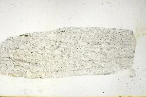 Plane Polarized, S89858