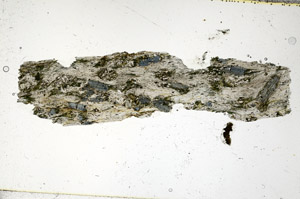 Plane Polarized, S89859