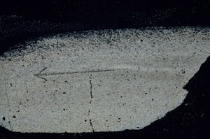 Cross Polarized, S89860