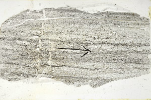 Plane Polarized, S89861
