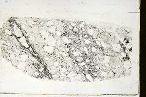 Plane Polarized, S89863