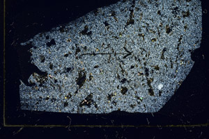Cross Polarized, S89865