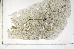 Plane Polarized, S89865