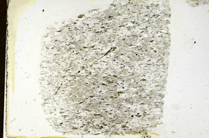 Plane Polarized, S89867