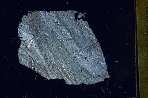 Cross Polarized, S89869