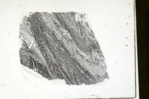 Plane Polarized, S89869
