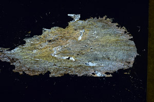 Cross Polarized, S89870